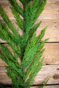 48” Real Touch Lebanon Cedar Full Garland