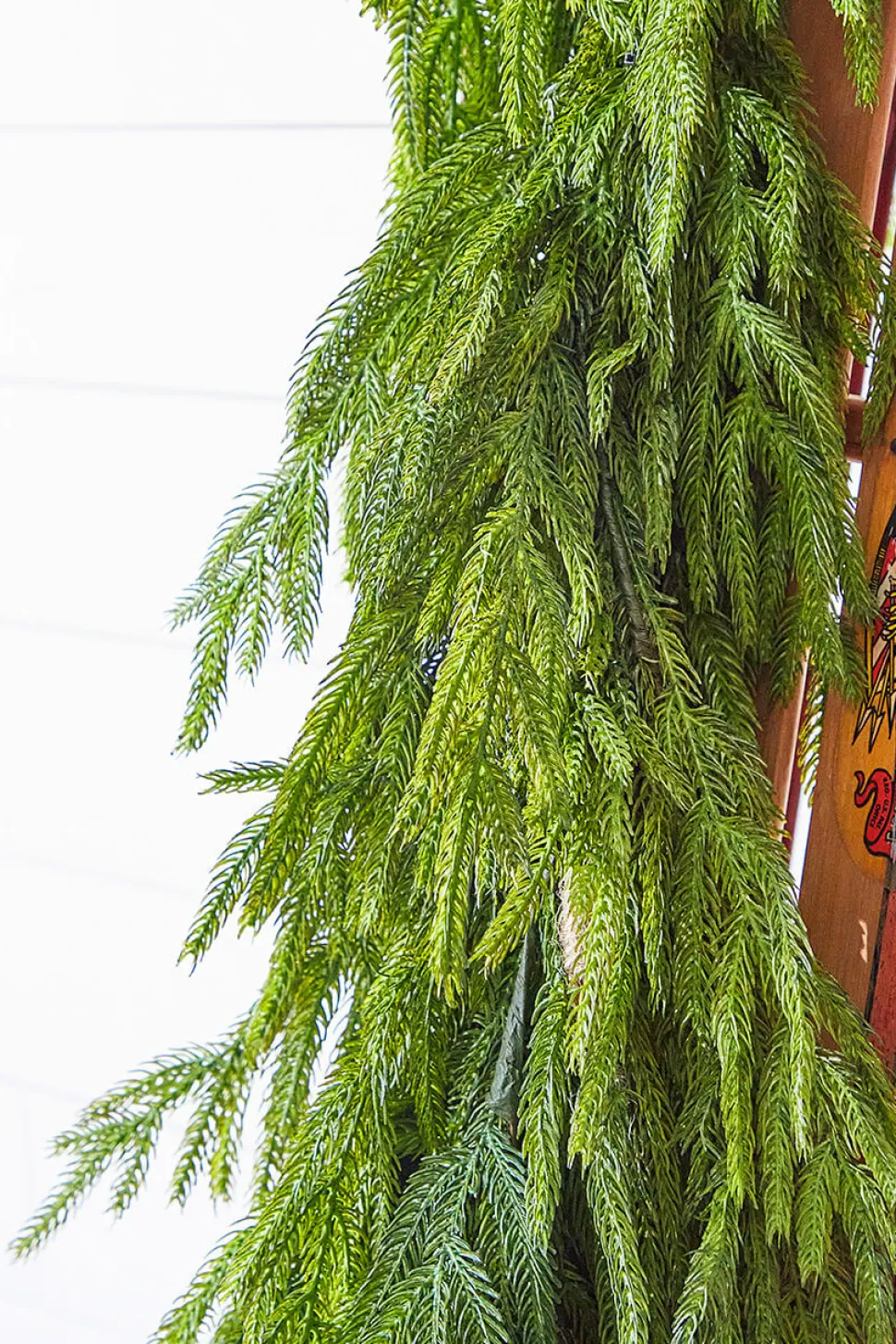 47" Real Touch Norfolk Pine Dripping Garland