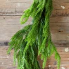 192” Real Touch Norfolk Pine Garland