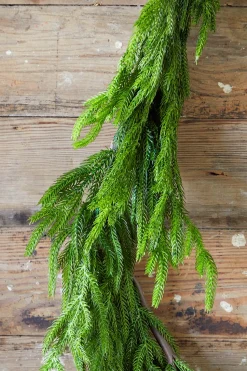 192” Real Touch Norfolk Pine Garland