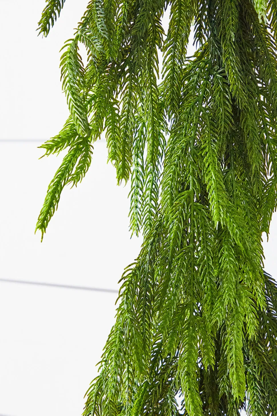 72” Real Touch Norfolk Pine Garland