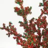 29" Red & Green Glitter Berry Spray