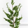 Red Rustic Sprays Mini Bundle