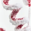 22.5" Red & White Snow Curly Spray