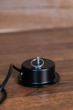 Rotating Ceiling Motor