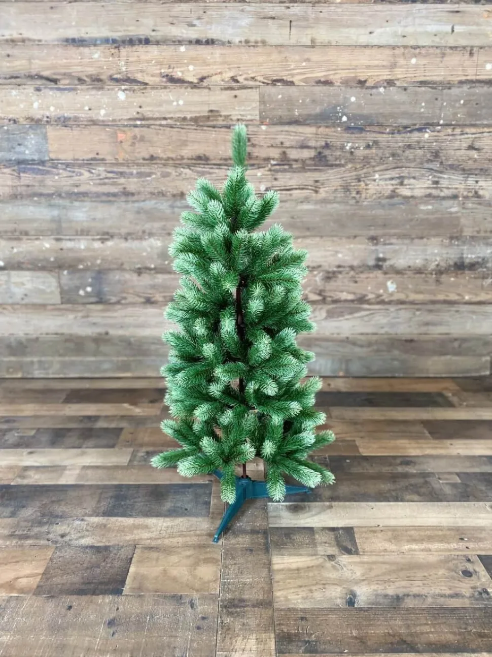 3' Royal Fir