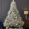 9' Royal Oaks Flocked Tree with 880 Warm White LED Lights