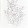35" Silver Glitter Fern Spray