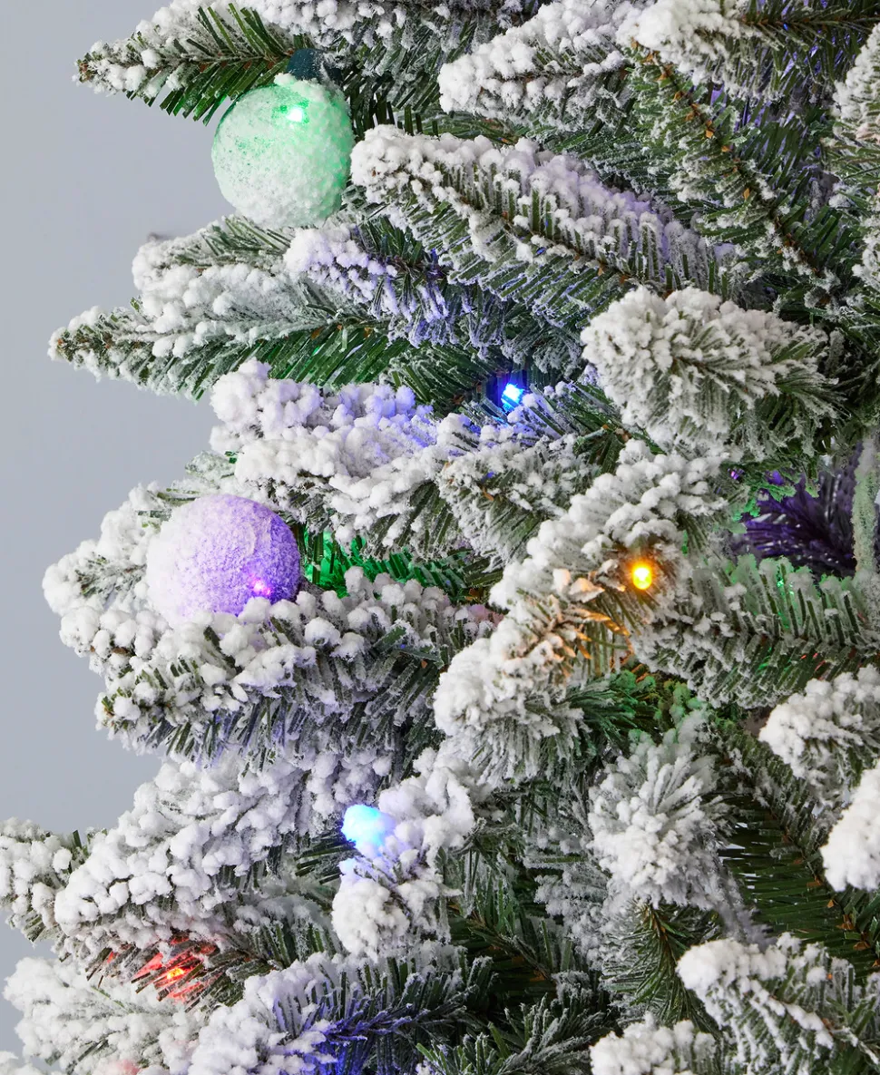 6' Slim Snow Kissed Pine Tree with 200 Multicolor LED Lights
