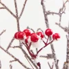 32" Snow Berry Spray