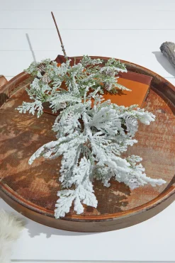 24” Snow Cedar Spray