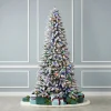 6.5' Snow Kissed Pine Tree with 350 Multicolor LED Lights