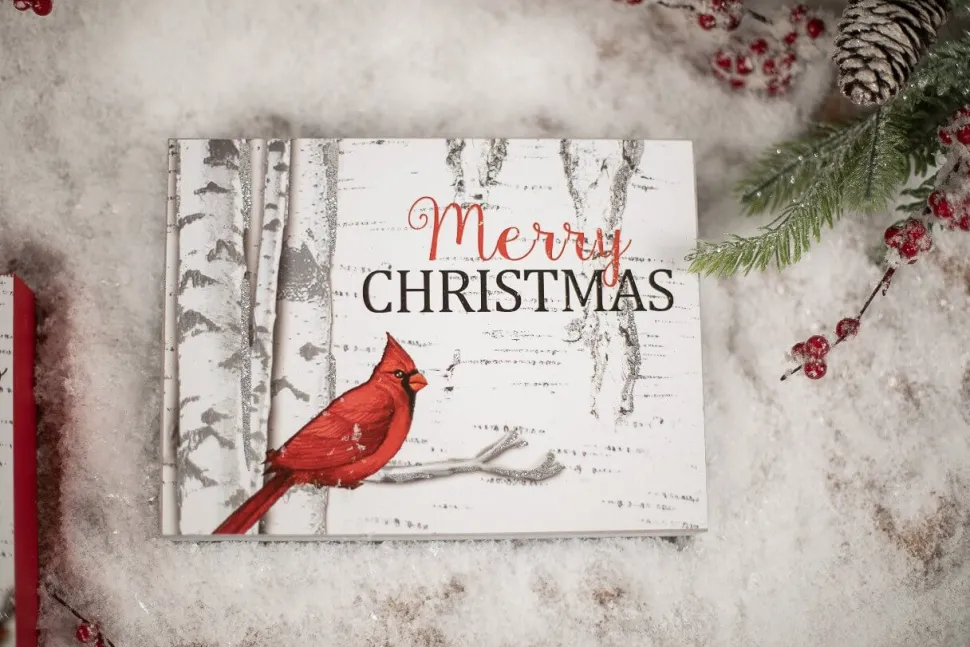 Snowman/Cardinal Christmas Block
