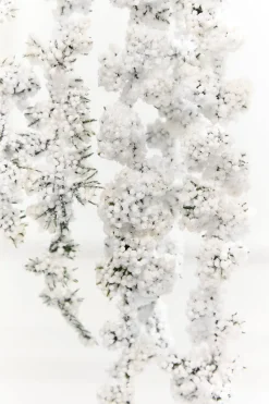 25" Snowy Hanging Berry Branch