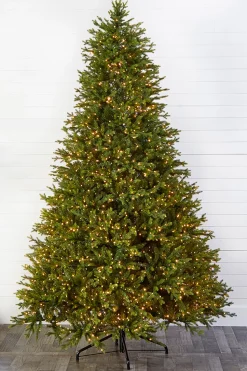 10' Southern Fir with 3000 3mm Lights