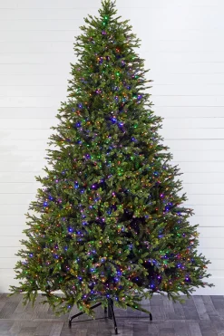 10' Southern Fir with 3000 3mm Lights