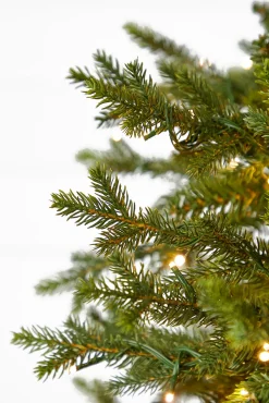 10' Southern Fir with 3000 3mm Lights