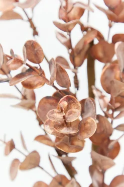 24" Warm Copper Eucalyptus Spray
