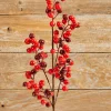 27" WP Berry Spray X 5