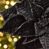 19" x 14" Black Velvet Poinsettia Stem