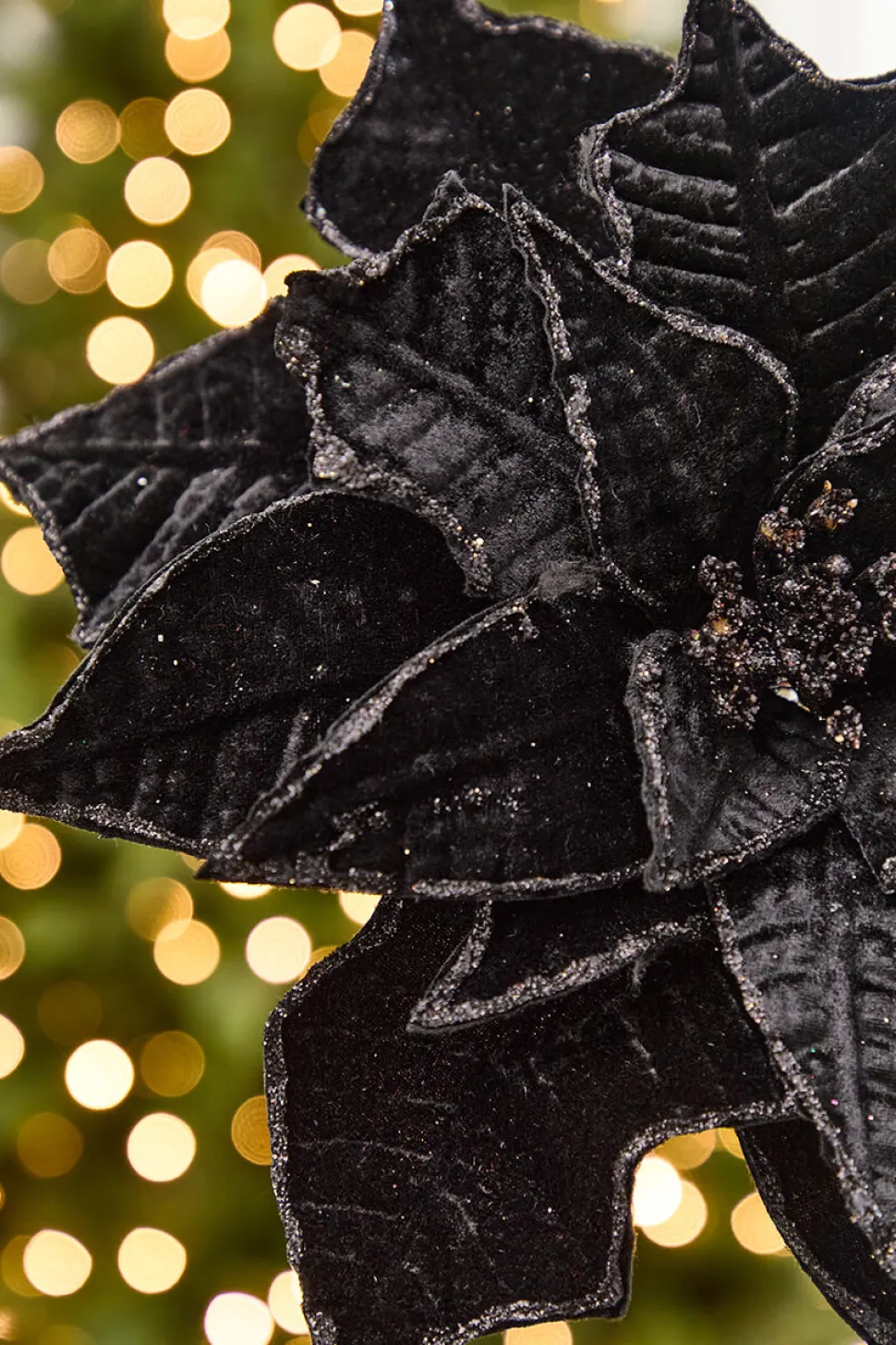 19" x 14" Black Velvet Poinsettia Stem