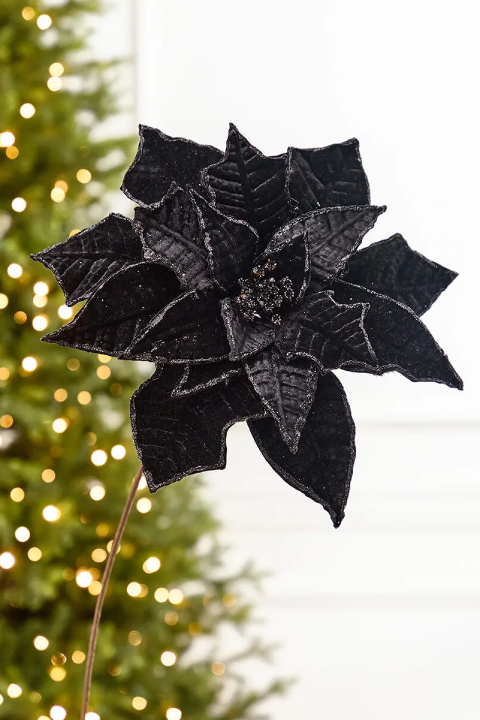 19" x 14" Black Velvet Poinsettia Stem
