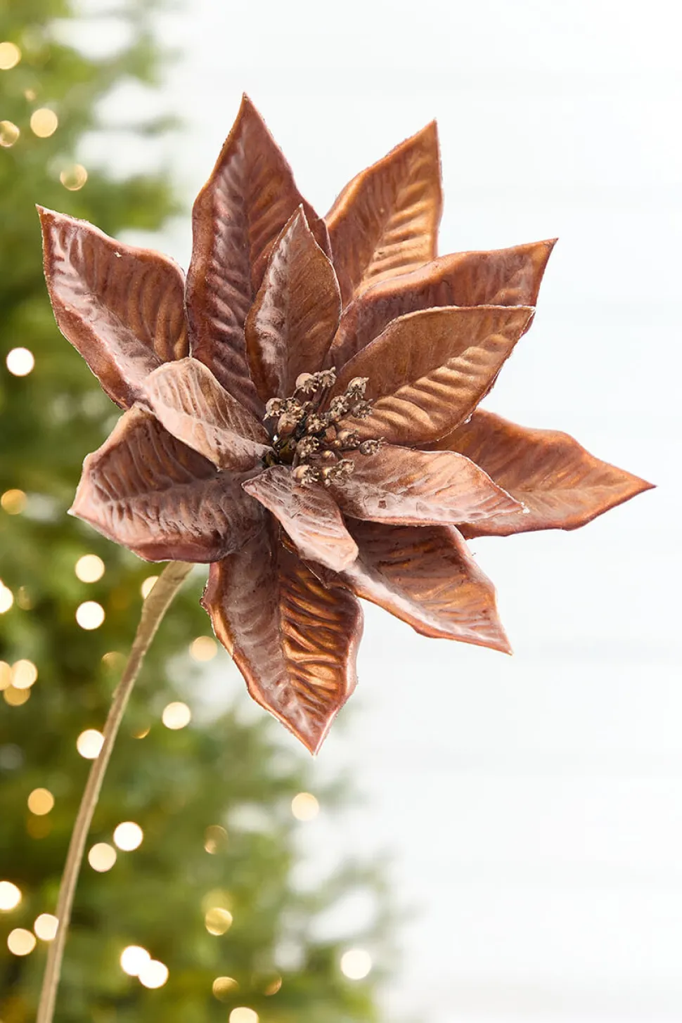 22" x 9" Bronze Poinsettia Stem