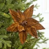 19" x 12" Brown Poinsettia Stem