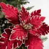 22” x 13.5" Burgundy Poinsettia Stem