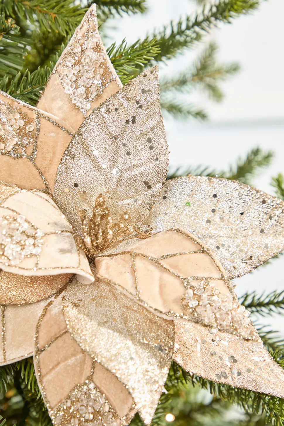 20" x 12" Champagne Jeweled Velvet Poinsettia Stem