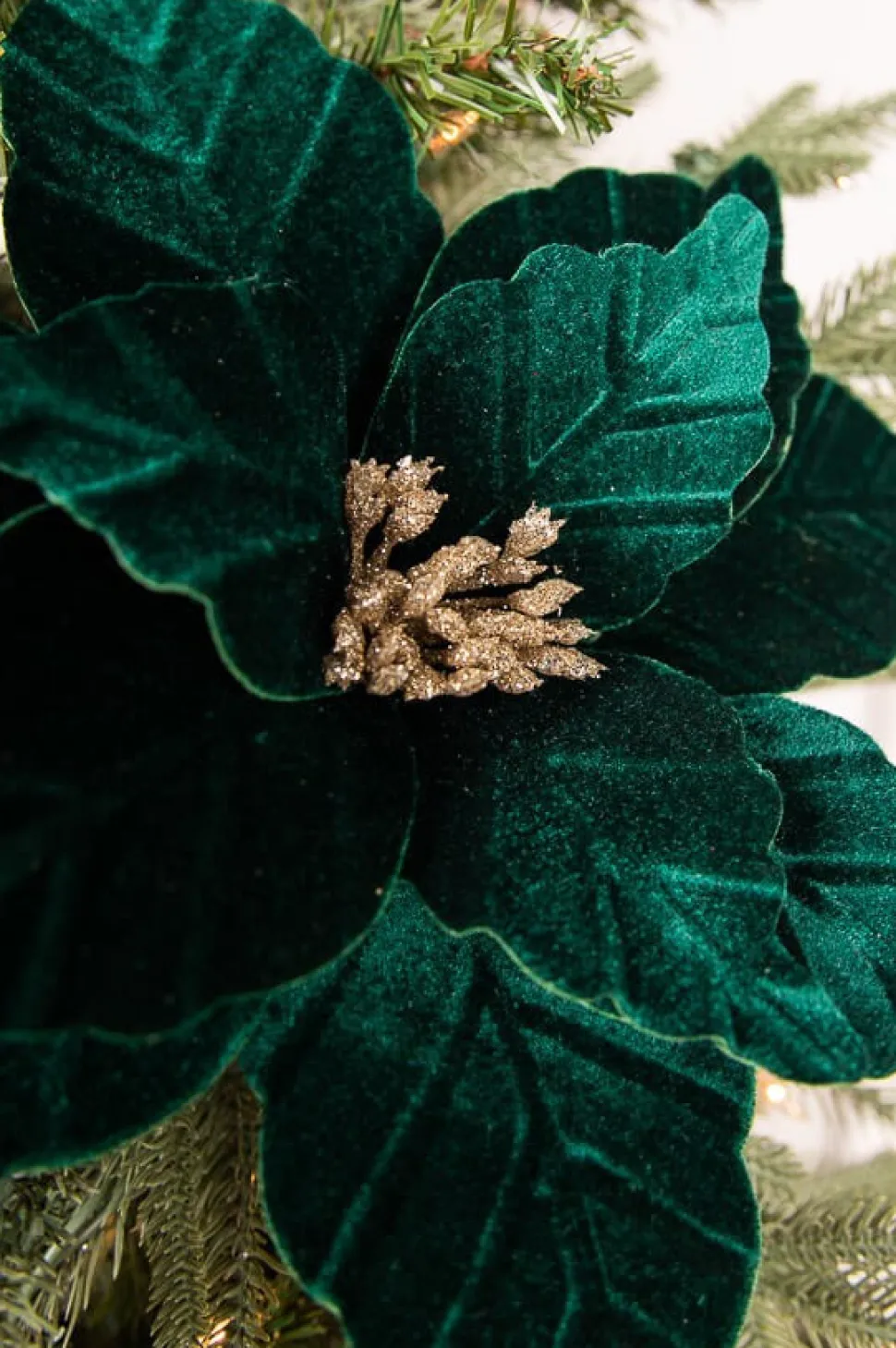 22” x 13" Dark Green Poinsettia Stem