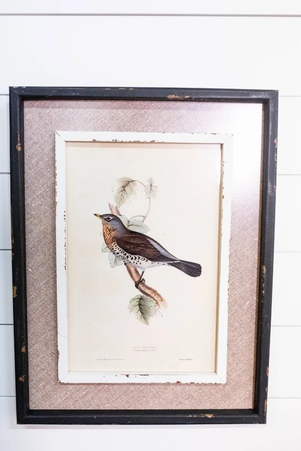15" x 20" Framed Bird Print with Glass
