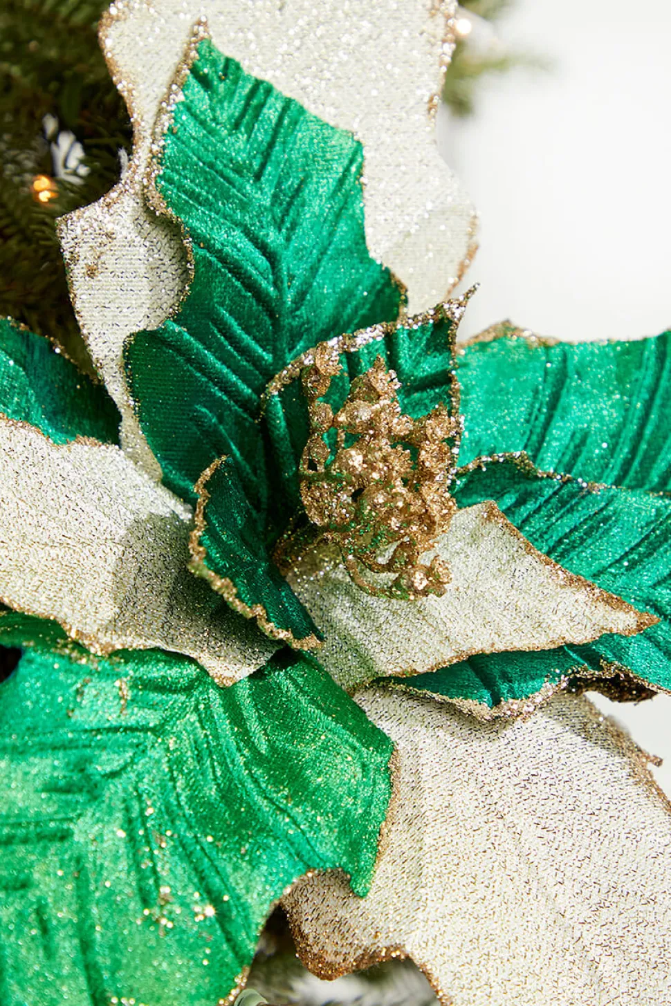 19" x 12" Green Champagne Poinsettia Stem