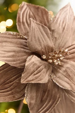 22" x 11.5" Light Brown Velvet Glitter Poinsettia Stem