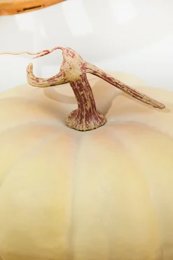 9" x 5" Lite Green Latex Harvest Pumpkin Vine