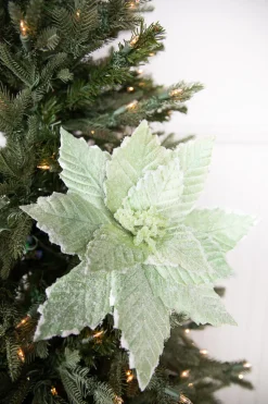 20” x 14" Mint Sugared Poinsettia Stem