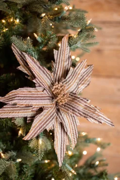 22” x 15" Natural Brown Striped Poinsettia Stem