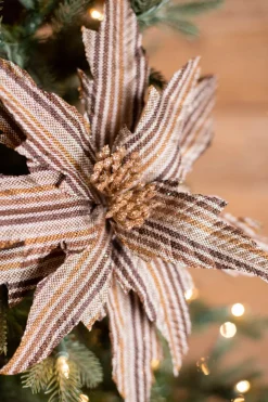 22” x 15" Natural Brown Striped Poinsettia Stem
