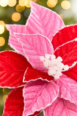 20" x 11.25" Red & Pink Poinsettia Stem