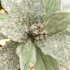 20" x 12” Sage Poinsettia Stem