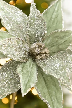 20" x 12” Sage Poinsettia Stem