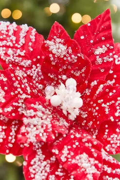 19" x 13.5" Snowy Red Poinsettia Stem