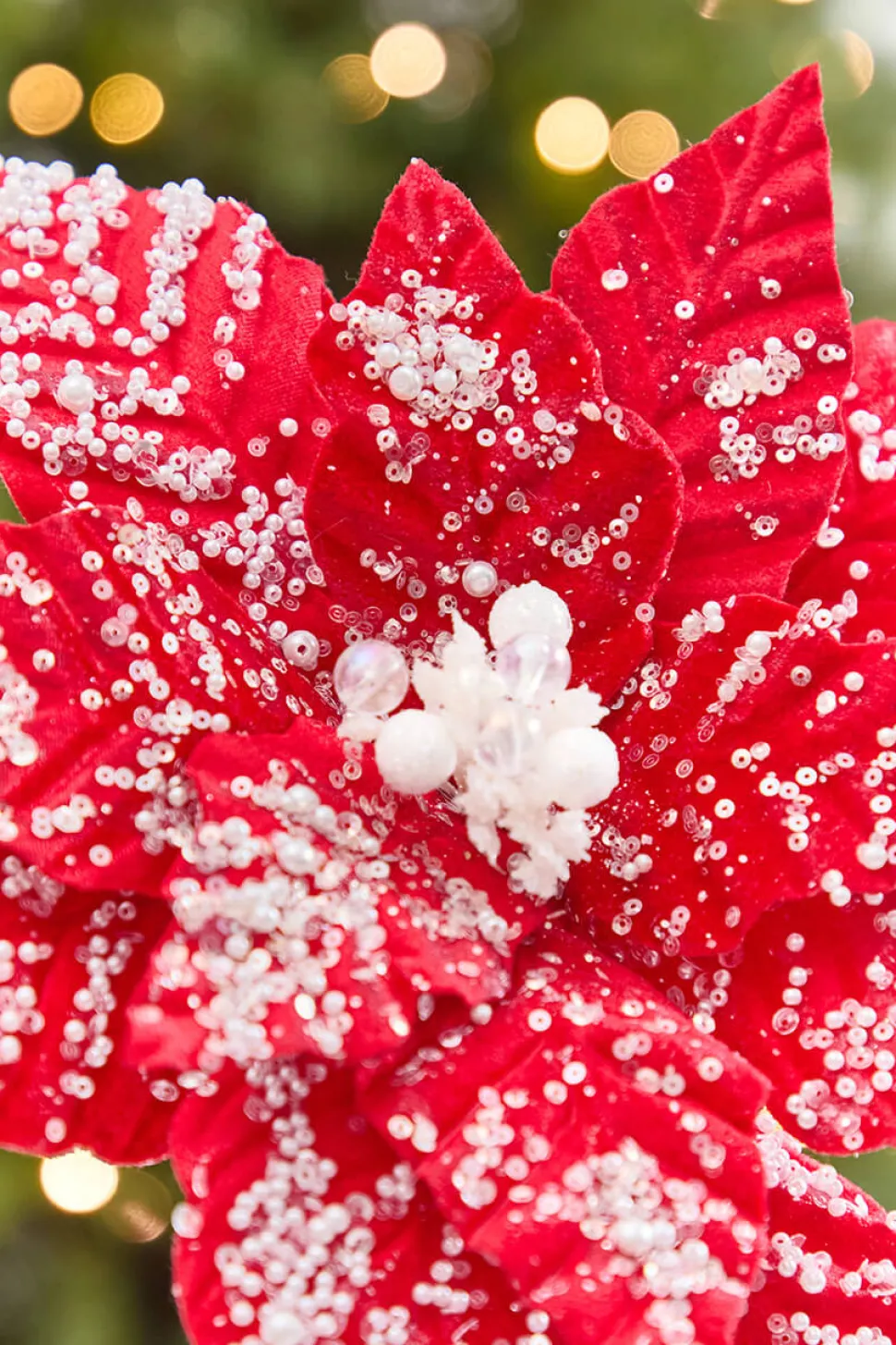 19" x 13.5" Snowy Red Poinsettia Stem