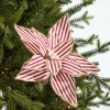 20" x 12" Striped Poinsettia Stem
