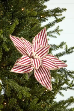 20" x 12" Striped Poinsettia Stem