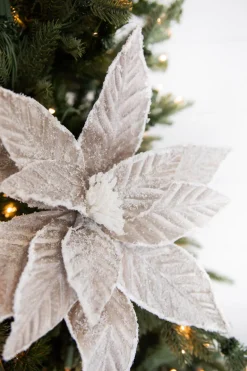 22” x 14.5" Taupe Sugar Poinsettia Stem