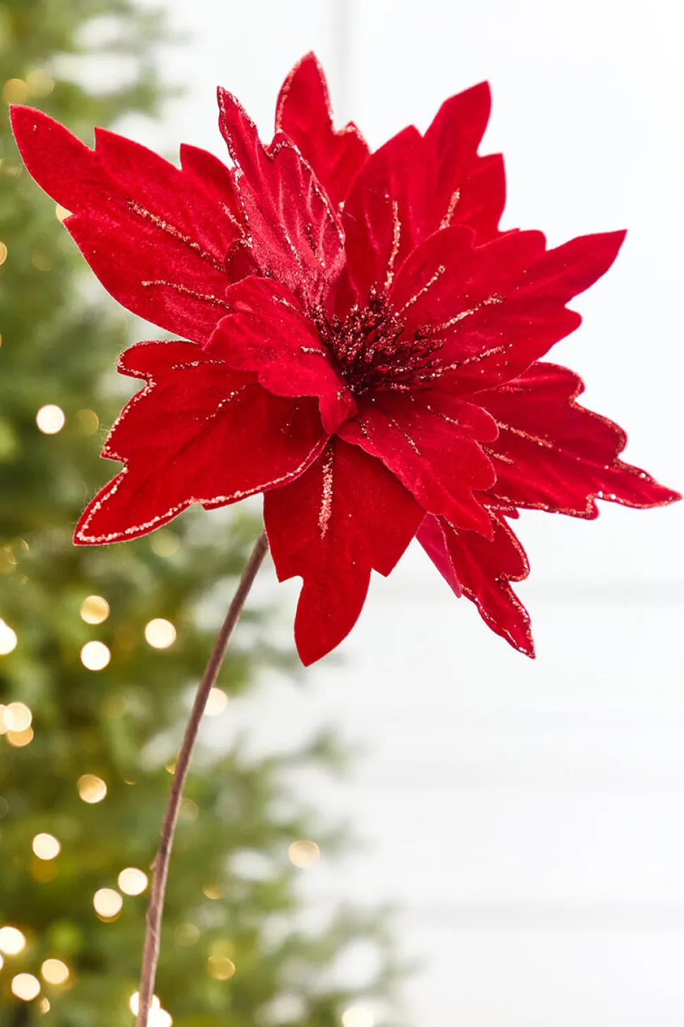 19” x 13.5" Velvet Glitter Poinsettia Stem