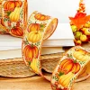 2.5" x 10 Yard Pumpkin & Gourd Ribbon